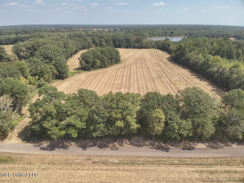 800 Black Jack Road Benton, MS 39039 - Photo 5 of 12 8719580B-6898-49D1-AF42-A2AAC67FB63C_1_1