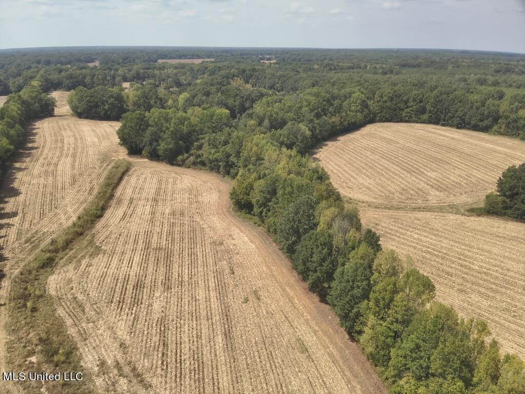 800 Black Jack Road Benton, MS 39039 - Photo 7 of 12 EDBB429F-DBEC-4968-B3F9-0EA669789777_1_1