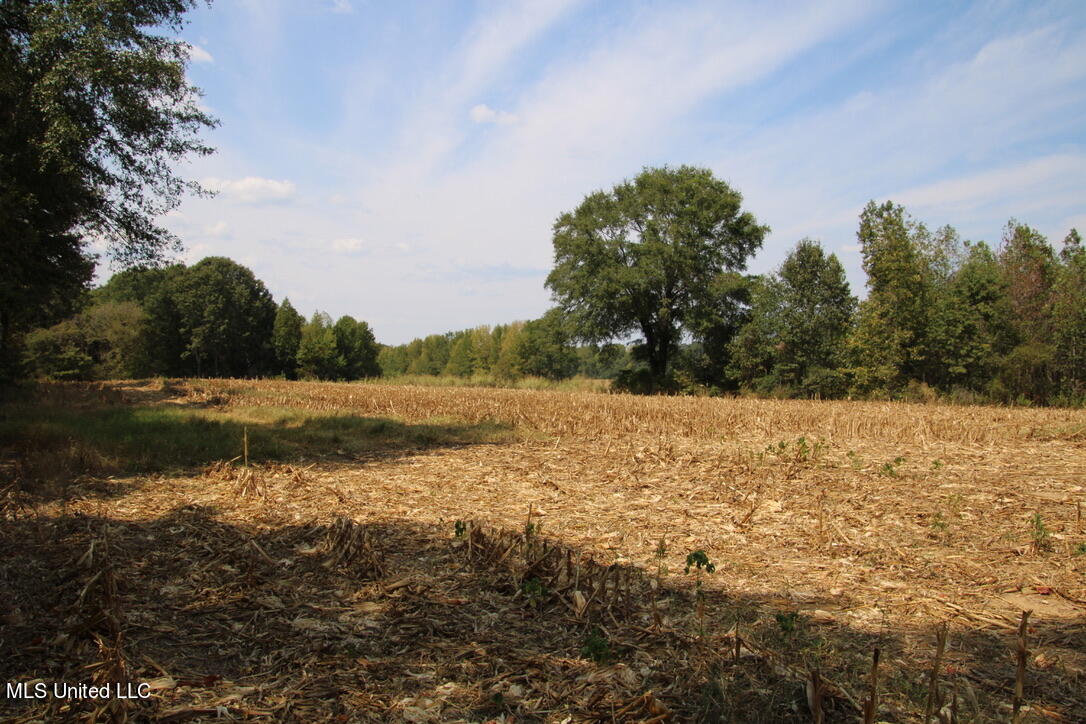 800 Black Jack Road Benton, MS 39039 - Photo 10 of 12 FA0B81DF-5465-4C3B-8467-4AAE04A95EAD_1_1