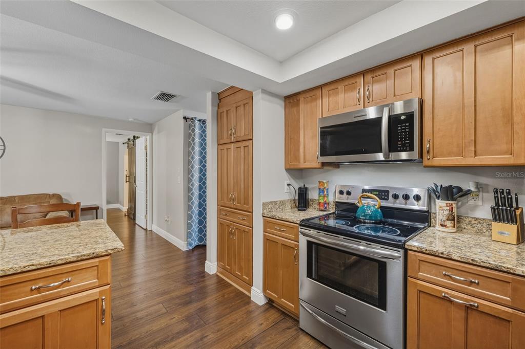 1309 Rustling Oaks Drive Brandon, FL 33510 - Photo 11 of 42