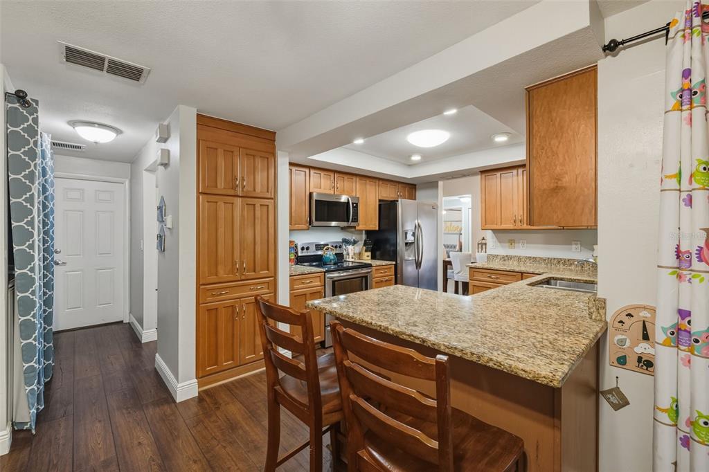 1309 Rustling Oaks Drive Brandon, FL 33510 - Photo 15 of 42