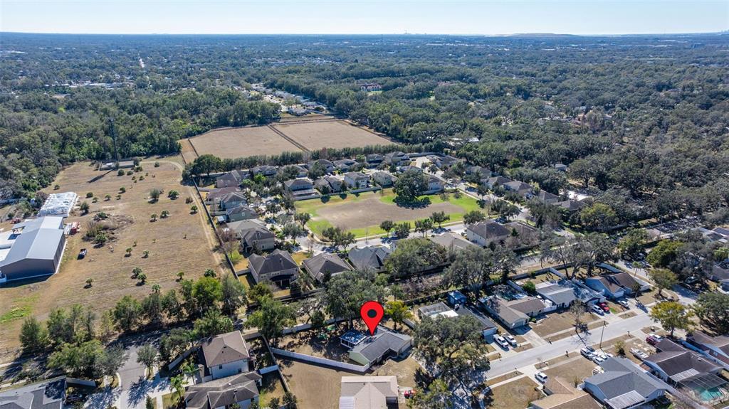 1309 Rustling Oaks Drive Brandon, FL 33510 - Photo 42 of 42