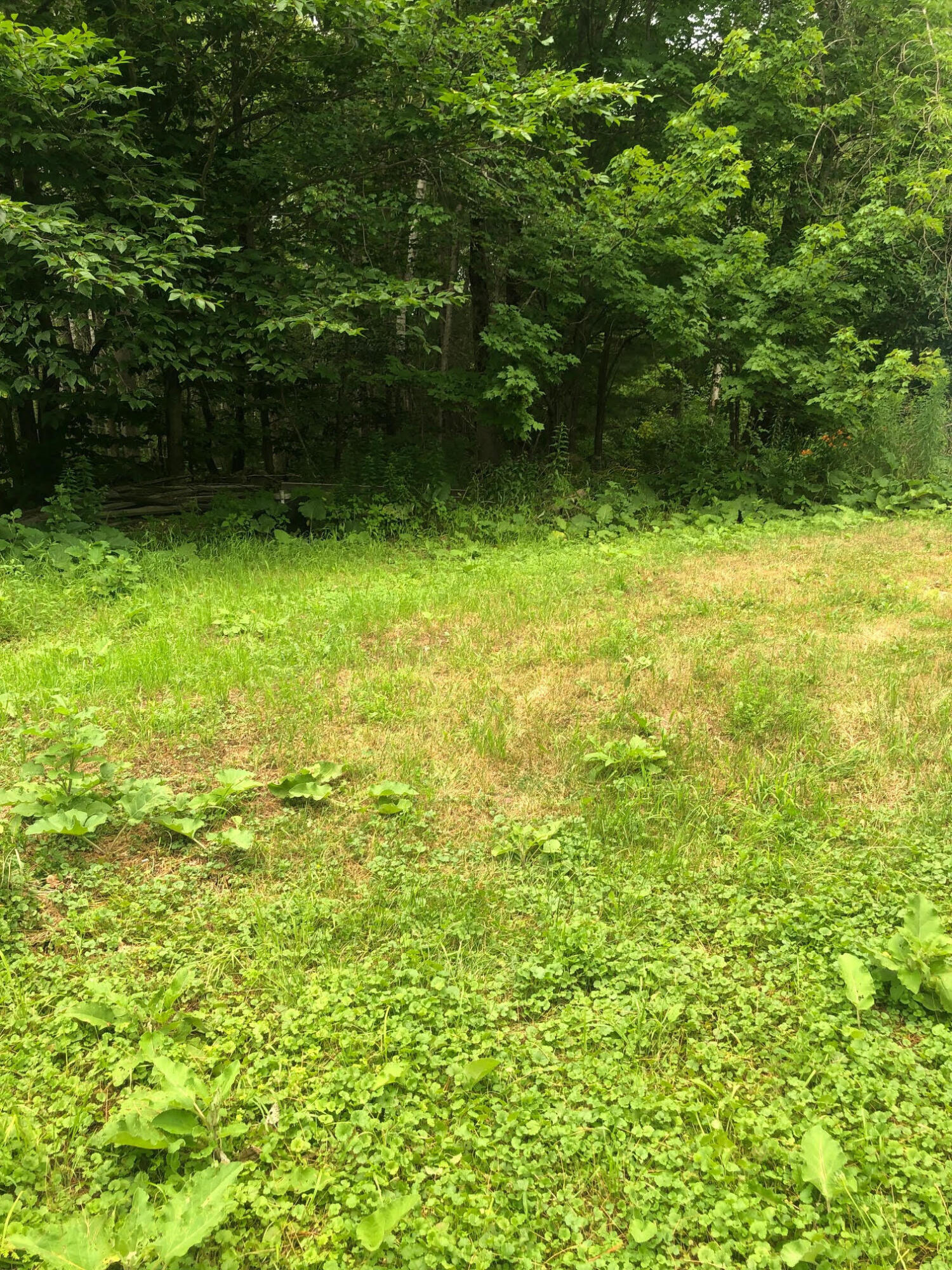 98 Kendall Corner Road Belfast, ME 04915 - Photo 6 of 7 unnamed (6)