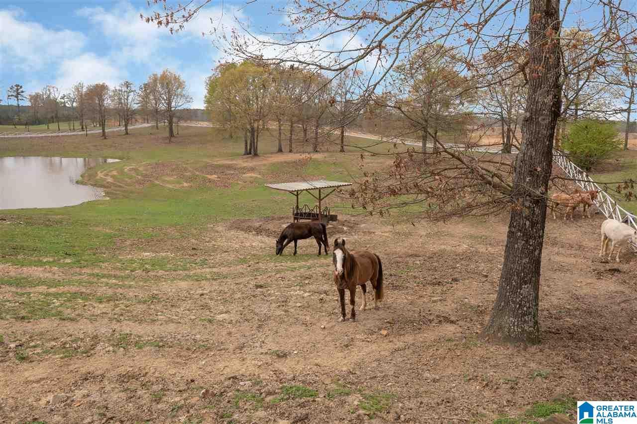 501 4 Wing Lake Road Alabaster, AL 35007 - Photo 11 of 50