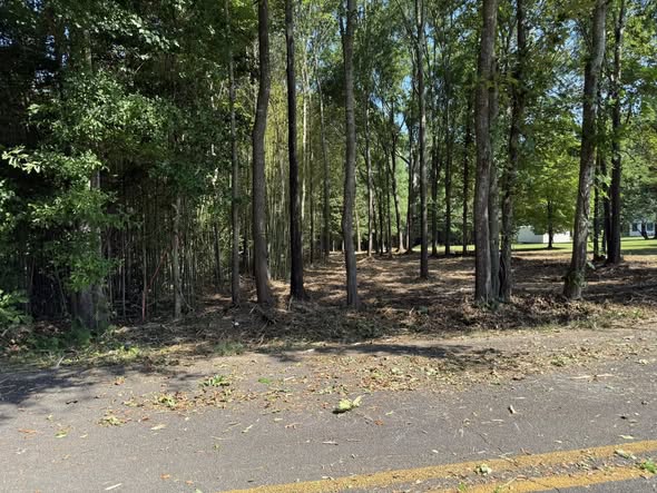 4027 A Belhaven Road Belton, SC 29627 - Photo 3 of 4 Mature trees delineate a generous lot, offering a natural privacy screen.