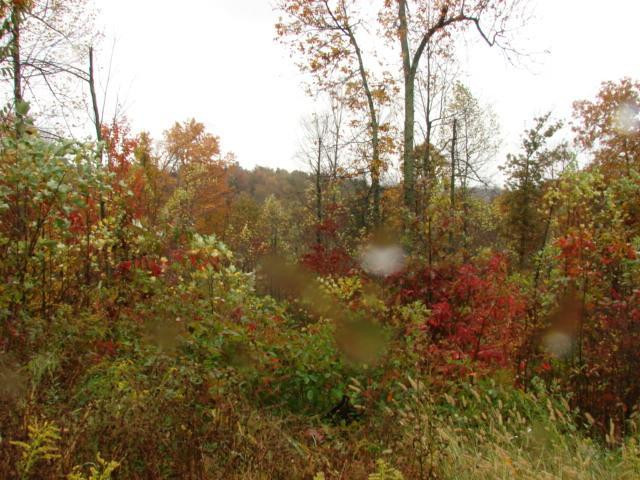 740 Mabry Ridge Road Morehead, KY 40351 - Photo 12 of 13 Photo 12
