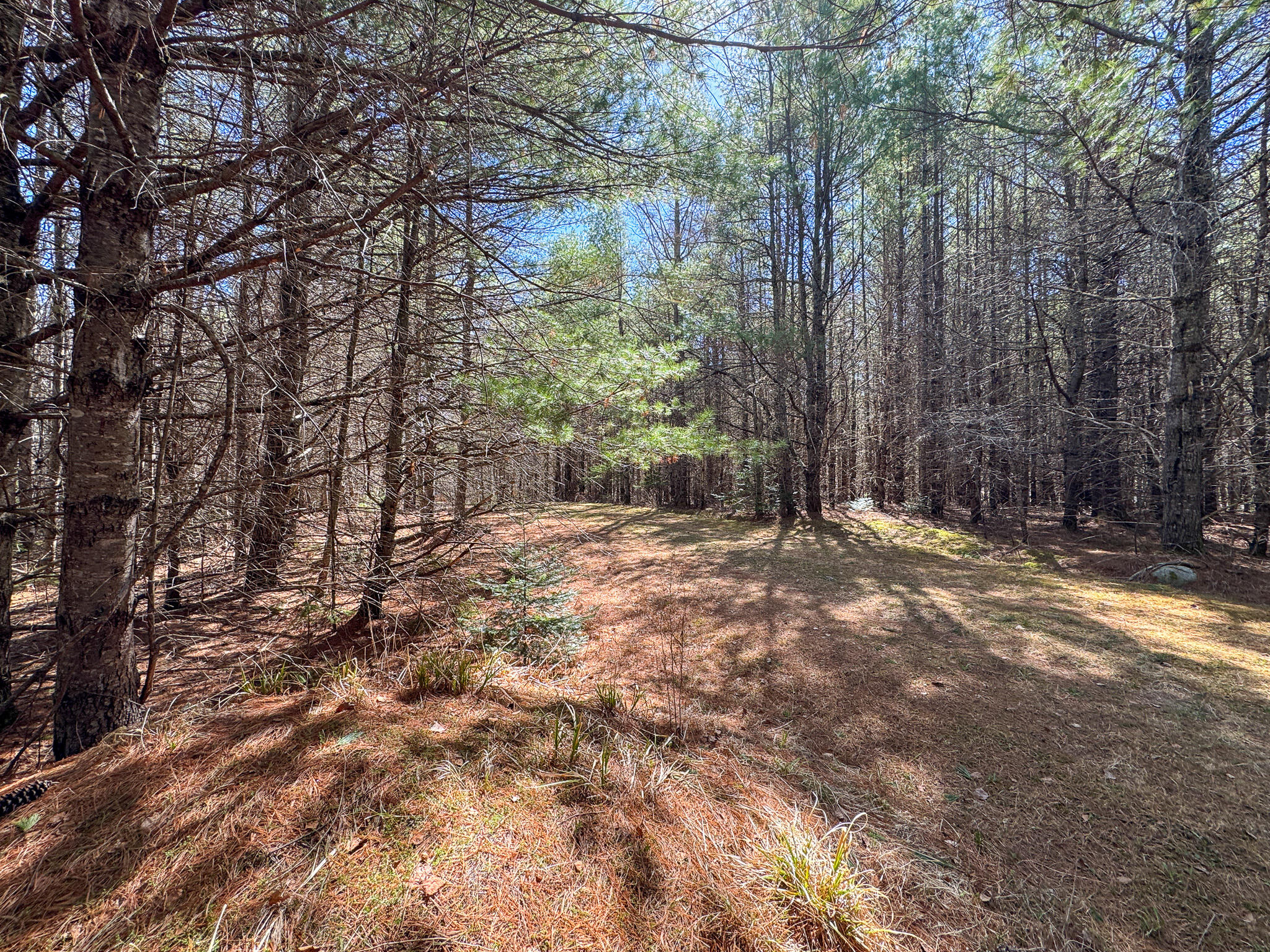1060 Pattagumpus Road Medway, ME 04460 - Photo 15 of 21 15