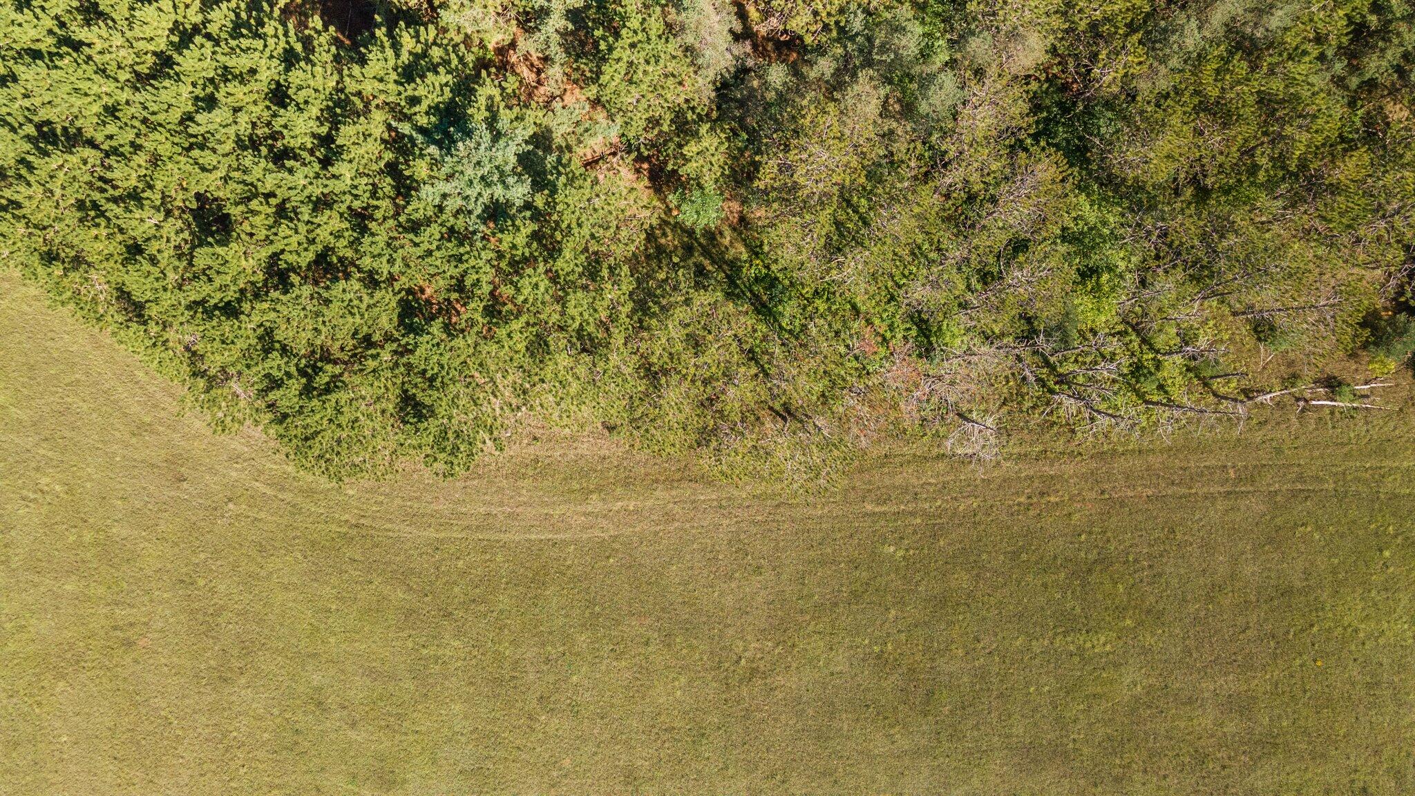 Krys Road Gaylord, MI 49735 - Photo 10 of 23 Gallery Image 10