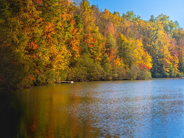 0 Panda Parkway Tamassee, SC 29686 - Photo 3 of 8 This tranquil waterfront setting boasts vibrant autumn foliage and a serene lake.