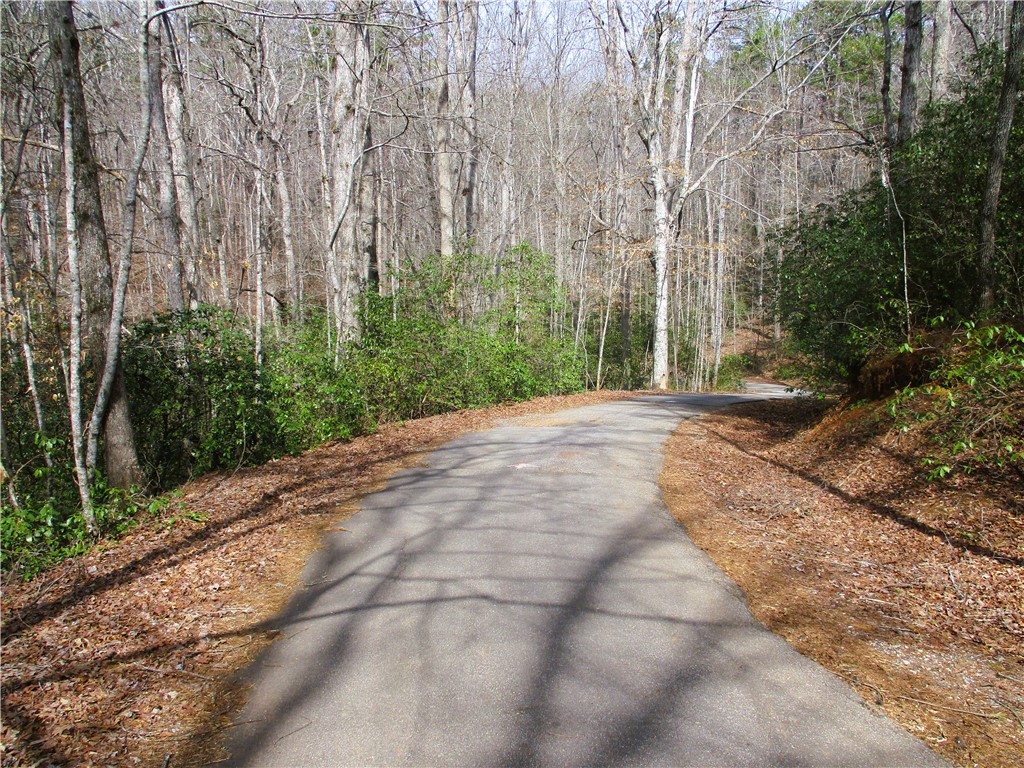 0 Panda Parkway Tamassee, SC 29686 - Photo 6 of 8 A winding road through a tranquil wooded setting offers serene living.