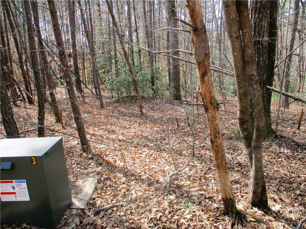 0 Panda Parkway Tamassee, SC 29686 - Photo 7 of 8 This verdant expanse offers a serene, wooded setting, perfect for your next venture.