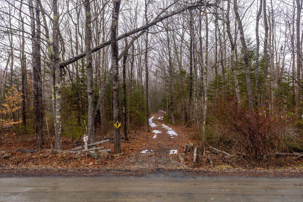 M3-l11c Location Road Belgrade, ME 04917 - Photo 1 of 15 _V5A0507