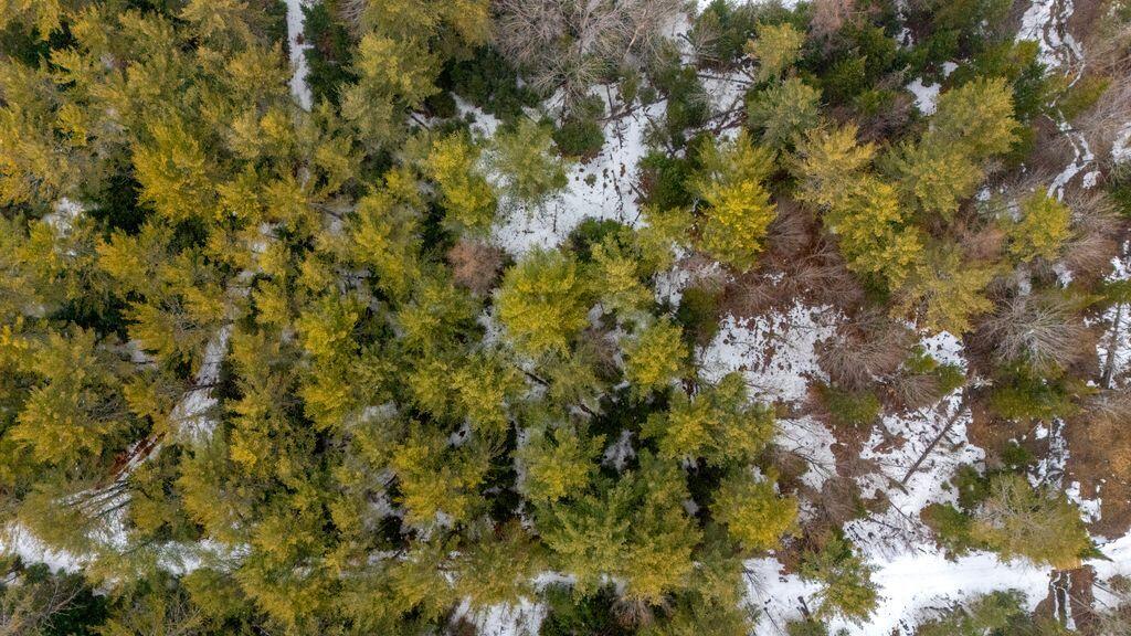 M3-l11c Location Road Belgrade, ME 04917 - Photo 4 of 15 DJI_20260319144009_0169_D