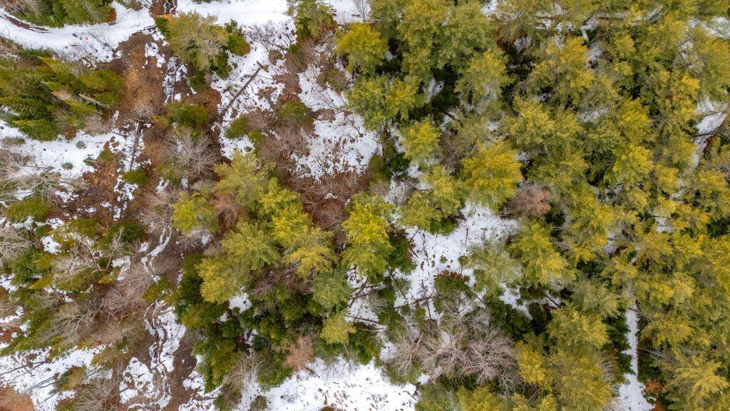 M3-l11c Location Road Belgrade, ME 04917 - Photo 9 of 15 DJI_20260319144619_0184_D