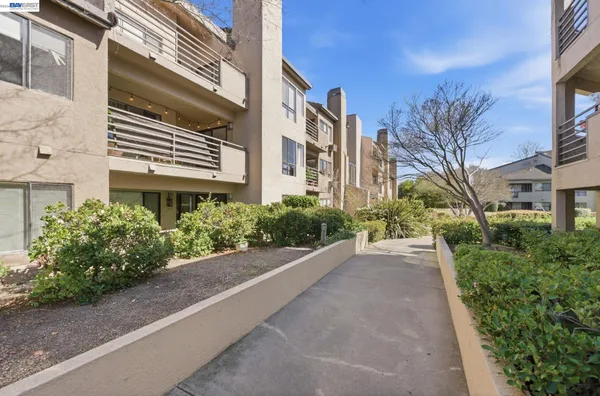 $559,000 | 39152 Guardino Drive, Unit 203, Fremont, CA 94538