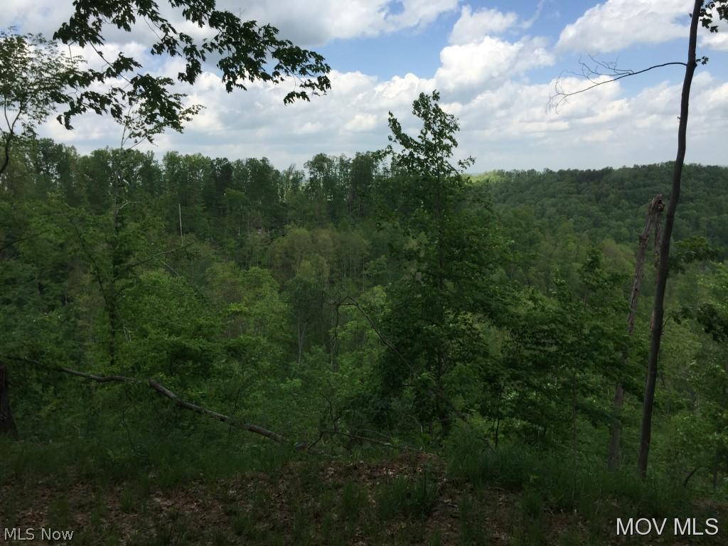 0 Williamson Road Smithville, WV 26178 - Photo 10 of 11
