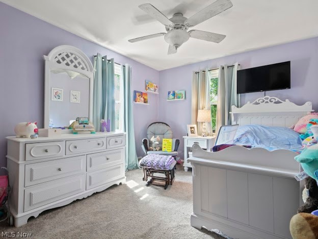 2041 Kirk Road Youngstown, OH 44511 - Photo 9 of 20 Gallery Image 9