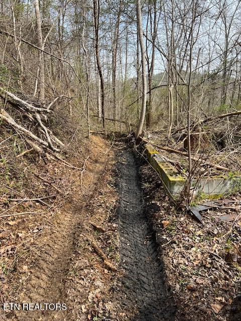 3071 Mica Way Cosby, TN 37722 - Photo 14 of 16 IMG_2949