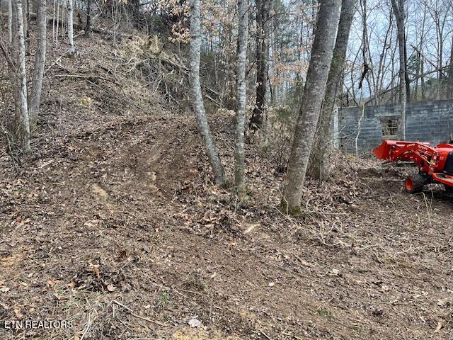 3071 Mica Way Cosby, TN 37722 - Photo 16 of 16 IMG_2907