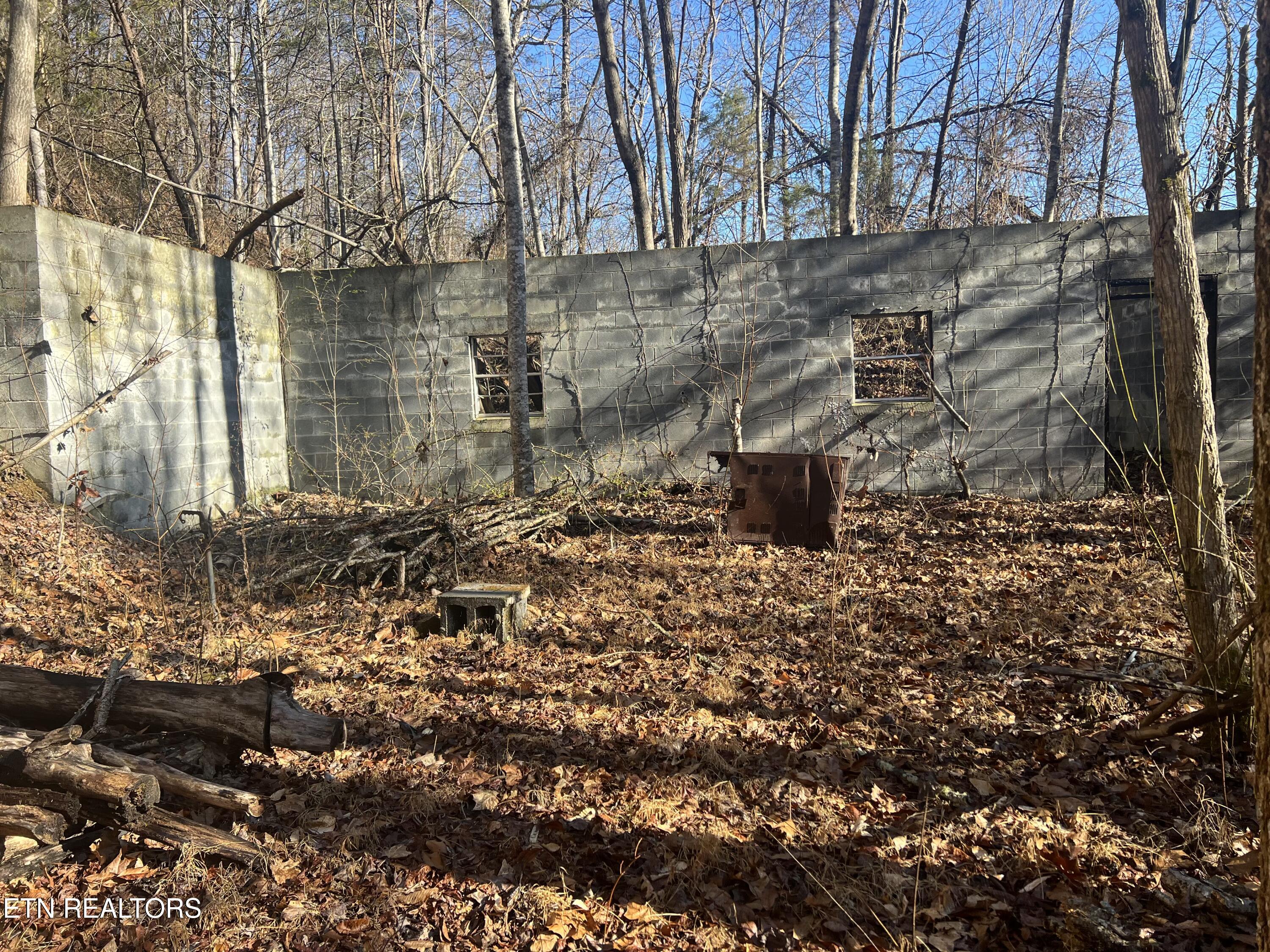 3071 Mica Way Cosby, TN 37722 - Photo 4 of 16 IMG_2398 (1)