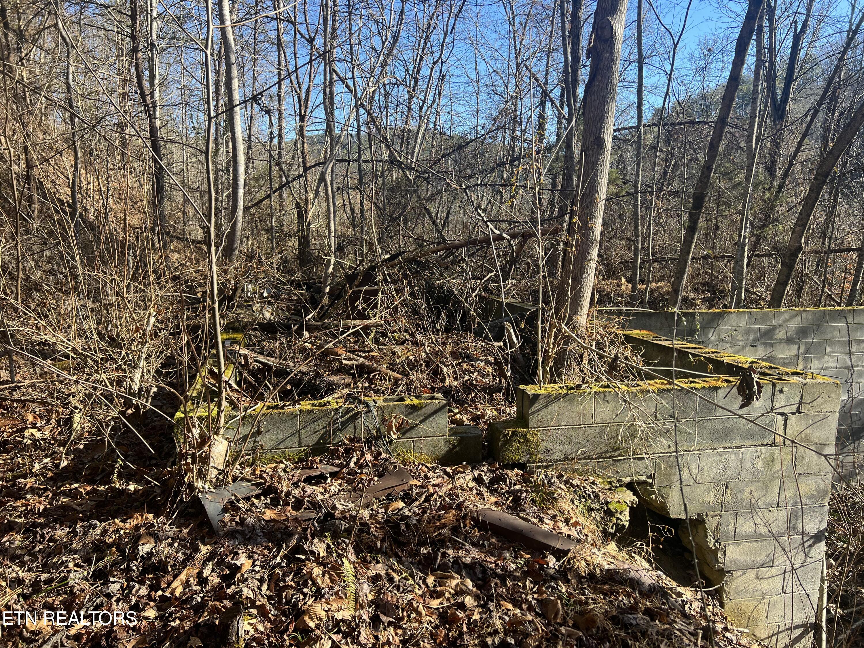 3071 Mica Way Cosby, TN 37722 - Photo 5 of 16 IMG_2400 (1)