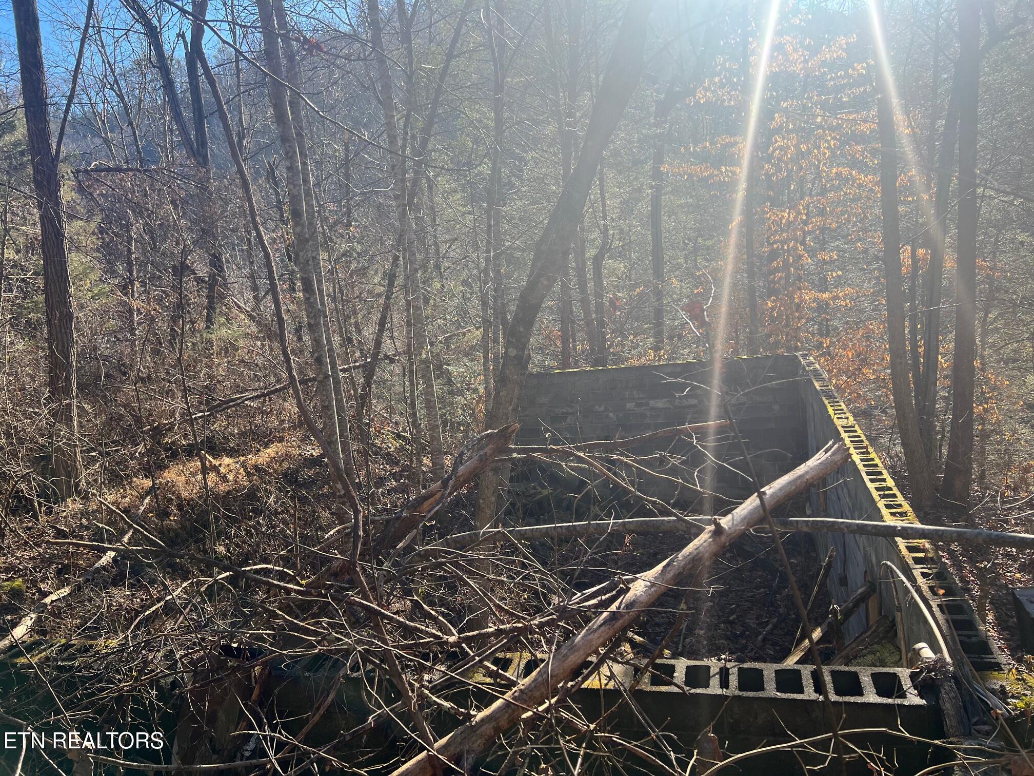 3071 Mica Way Cosby, TN 37722 - Photo 7 of 16 IMG_2401 (1)