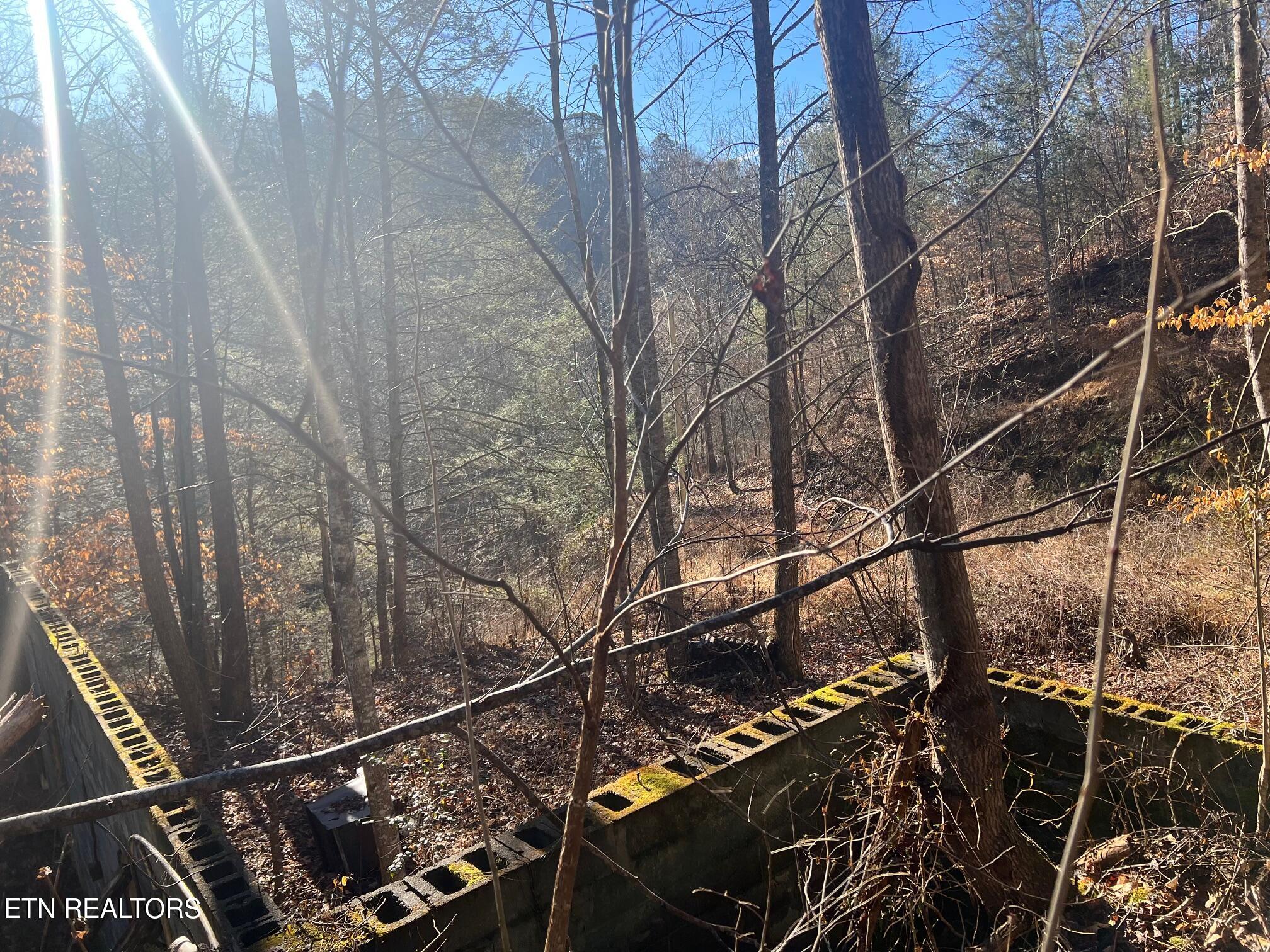 3071 Mica Way Cosby, TN 37722 - Photo 8 of 16 IMG_2403 (1)