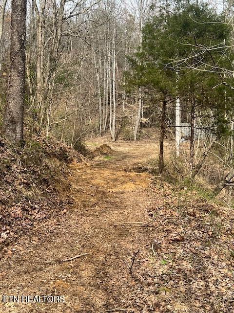 3071 Mica Way Cosby, TN 37722 - Photo 9 of 16 IMG_2956