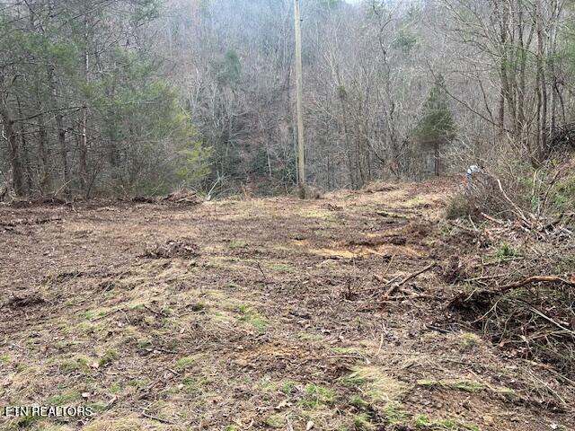 3071 Mica Way Cosby, TN 37722 - Photo 10 of 16 IMG_2909