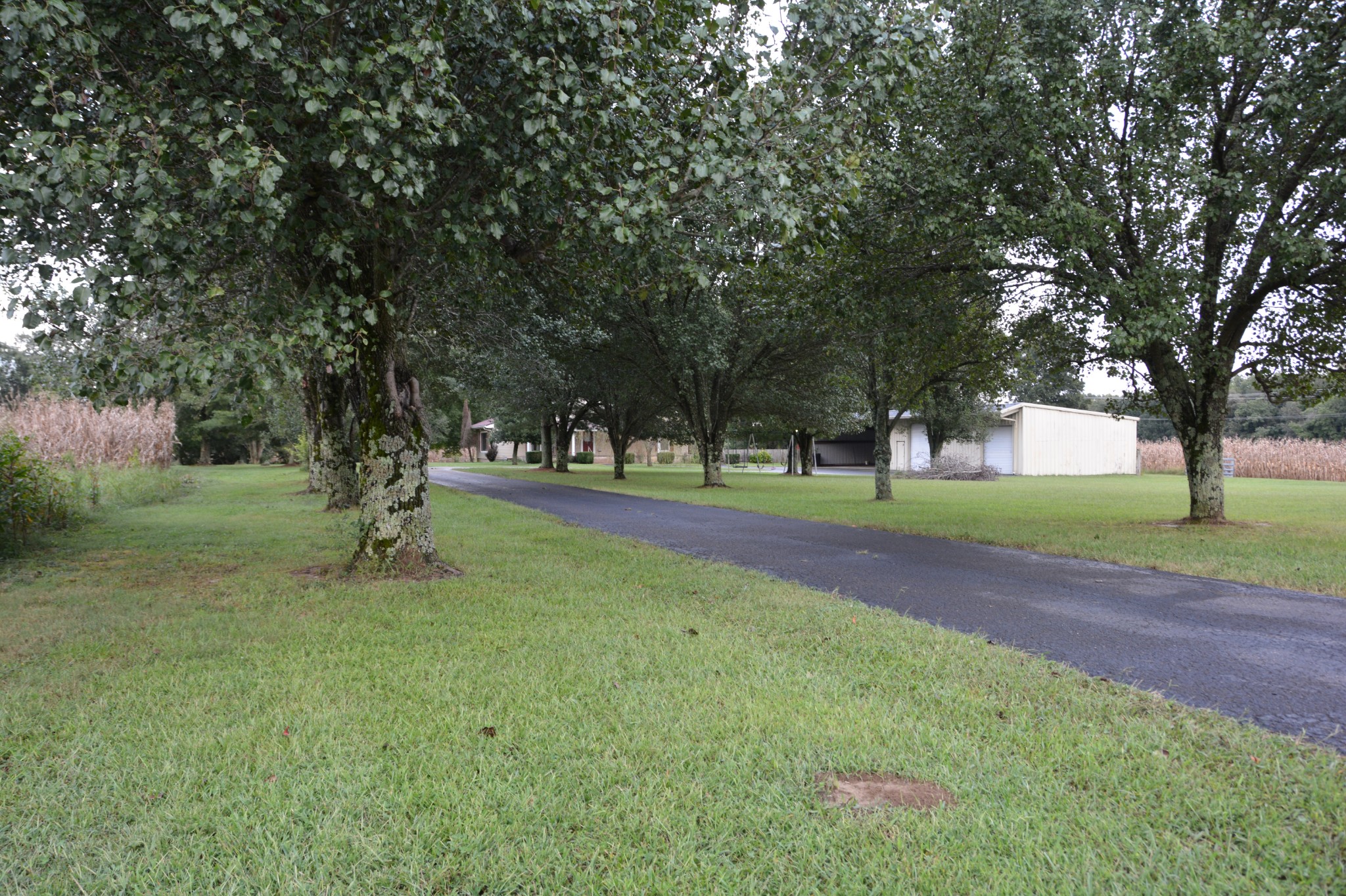 95 Essie Cleek Road Tullahoma, TN 37388 - Photo 3 of 38 a view of a park with a tree