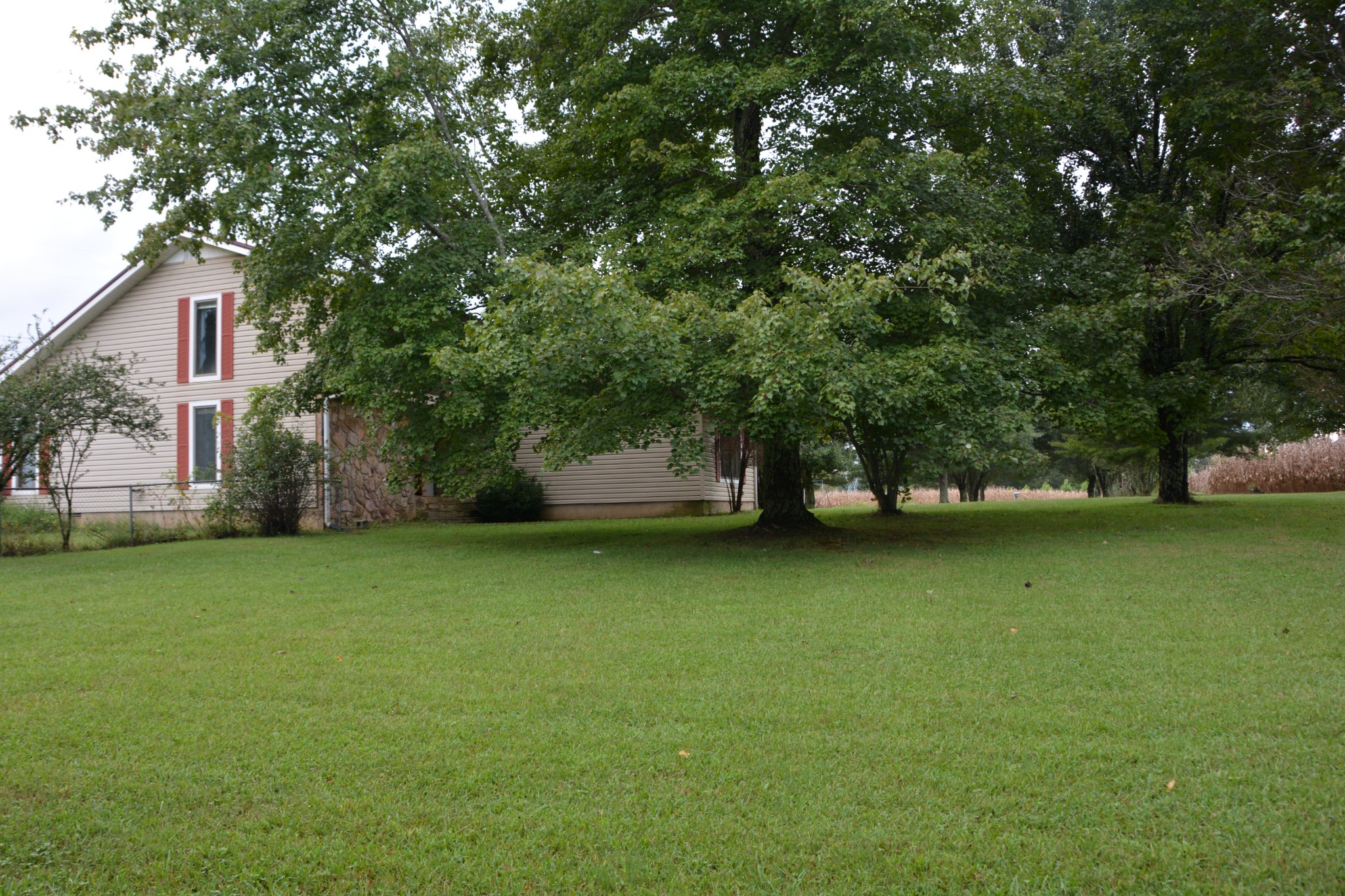 95 Essie Cleek Road Tullahoma, TN 37388 - Photo 4 of 38 a view of a tree in front of a house with large trees
