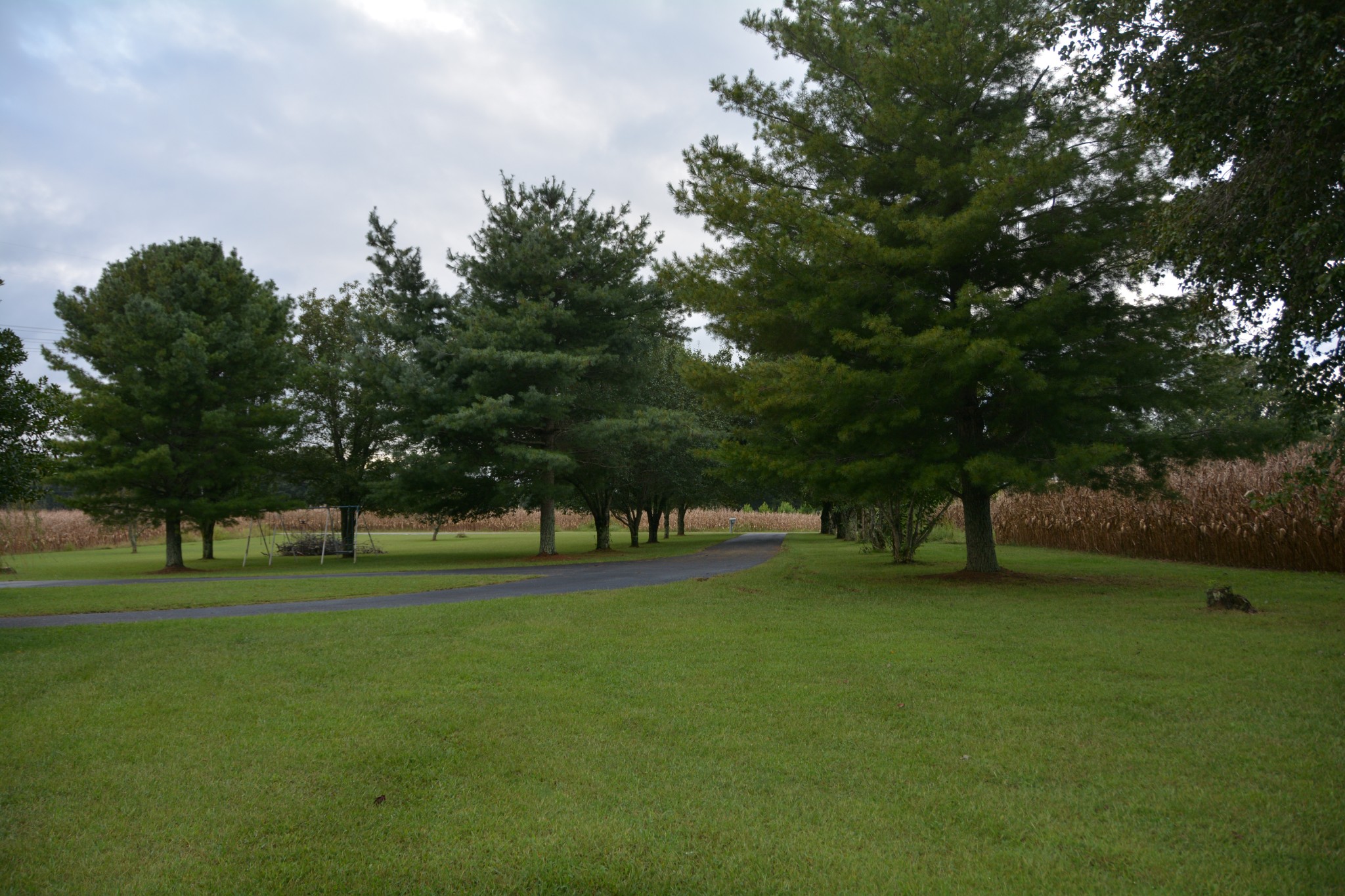 95 Essie Cleek Road Tullahoma, TN 37388 - Photo 5 of 38 a view of a park with large trees