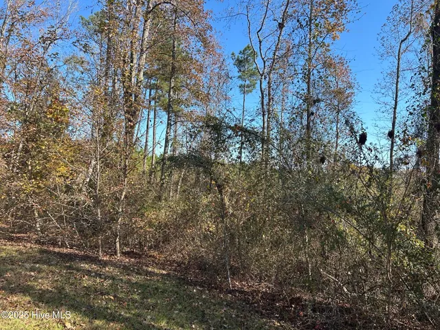 $224,900 | 19161 Laurel Hill Church Road, Laurinburg, NC 28352