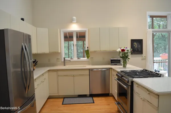 a view of a garden with plants