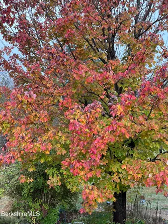 a living room with furniture a flat screen tv and a window