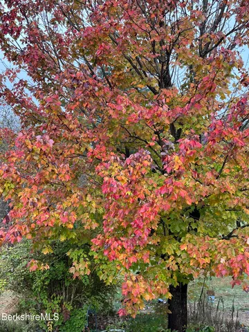 a living room with furniture a flat screen tv and a window