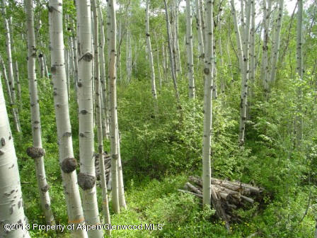 1173 Ridge Road Snowmass Village, CO 81615 - Photo 13 of 14 1173 Ridge view (1)