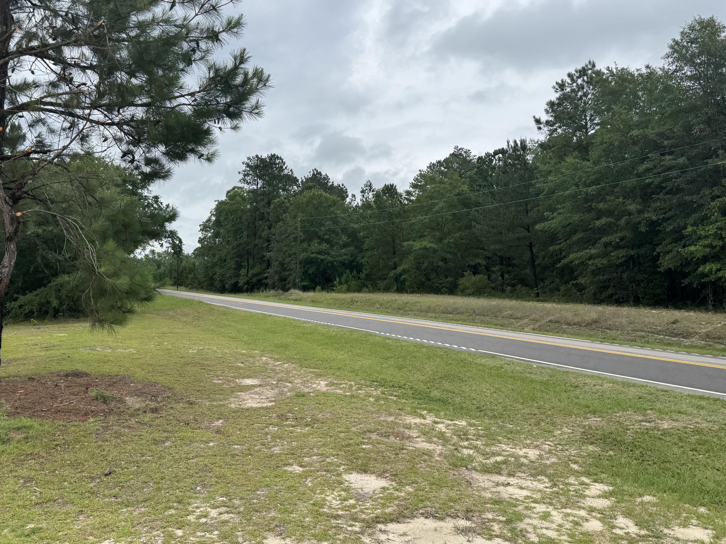 271 Lebanon Road Barnwell, SC 29812 - Photo 2 of 27