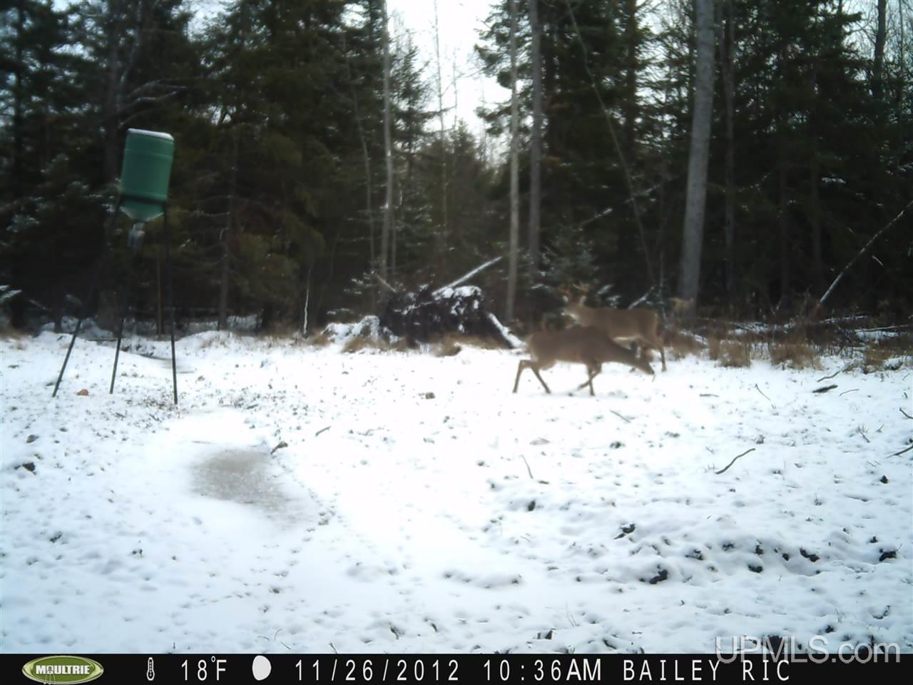 5902 Co Rd 511 Rapid River, MI 49878 - Photo 20 of 21