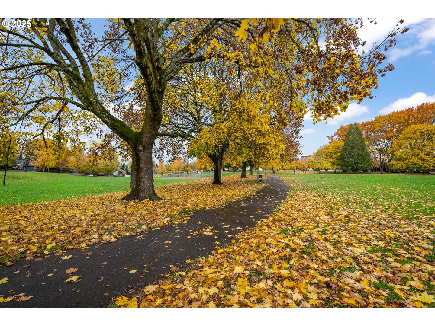 2620 North Kilpatrick Street Portland, OR 97217 - Photo 33 of 37 a view of yard with tree