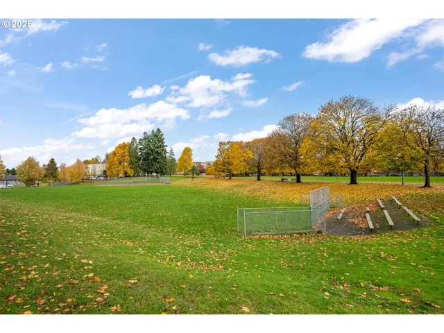 a view of yard with green space
