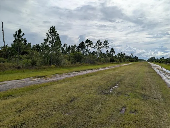 a view of a big yard with lots of green space