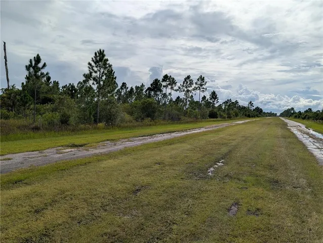 a view of a big yard with lots of green space