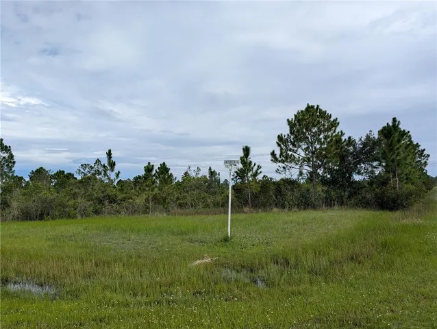 a view of a field with a tree in the background