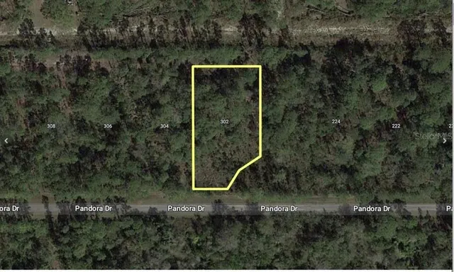 an aerial view of residential house with outdoor space and trees