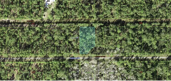 a view of a lush green field