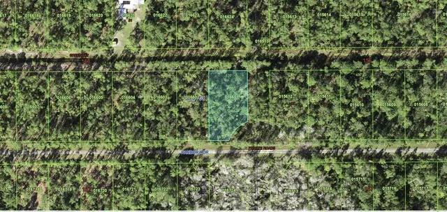 a view of a lush green field