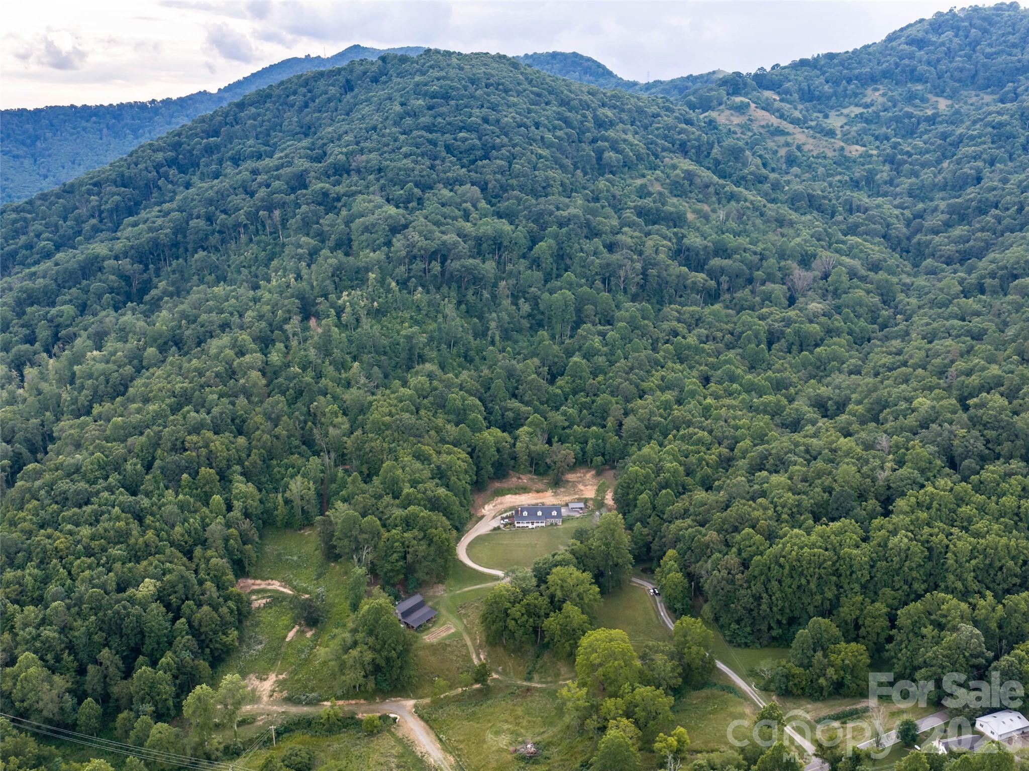 81 Aldens Way Clyde, NC 28721 - Photo 46 of 48