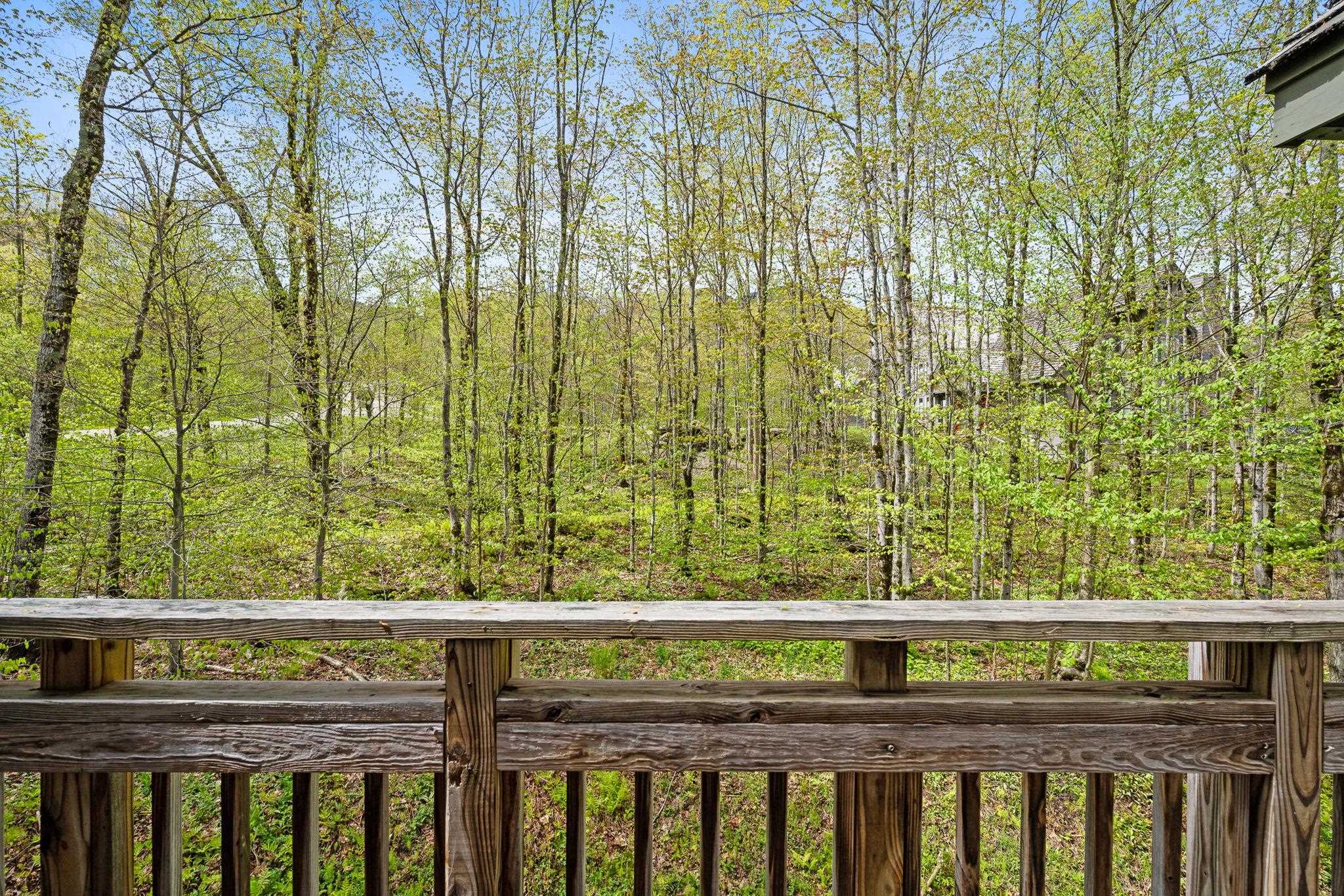 143 Bridge Road, Unit VC331 Jay, VT 05859 - Photo 19 of 36