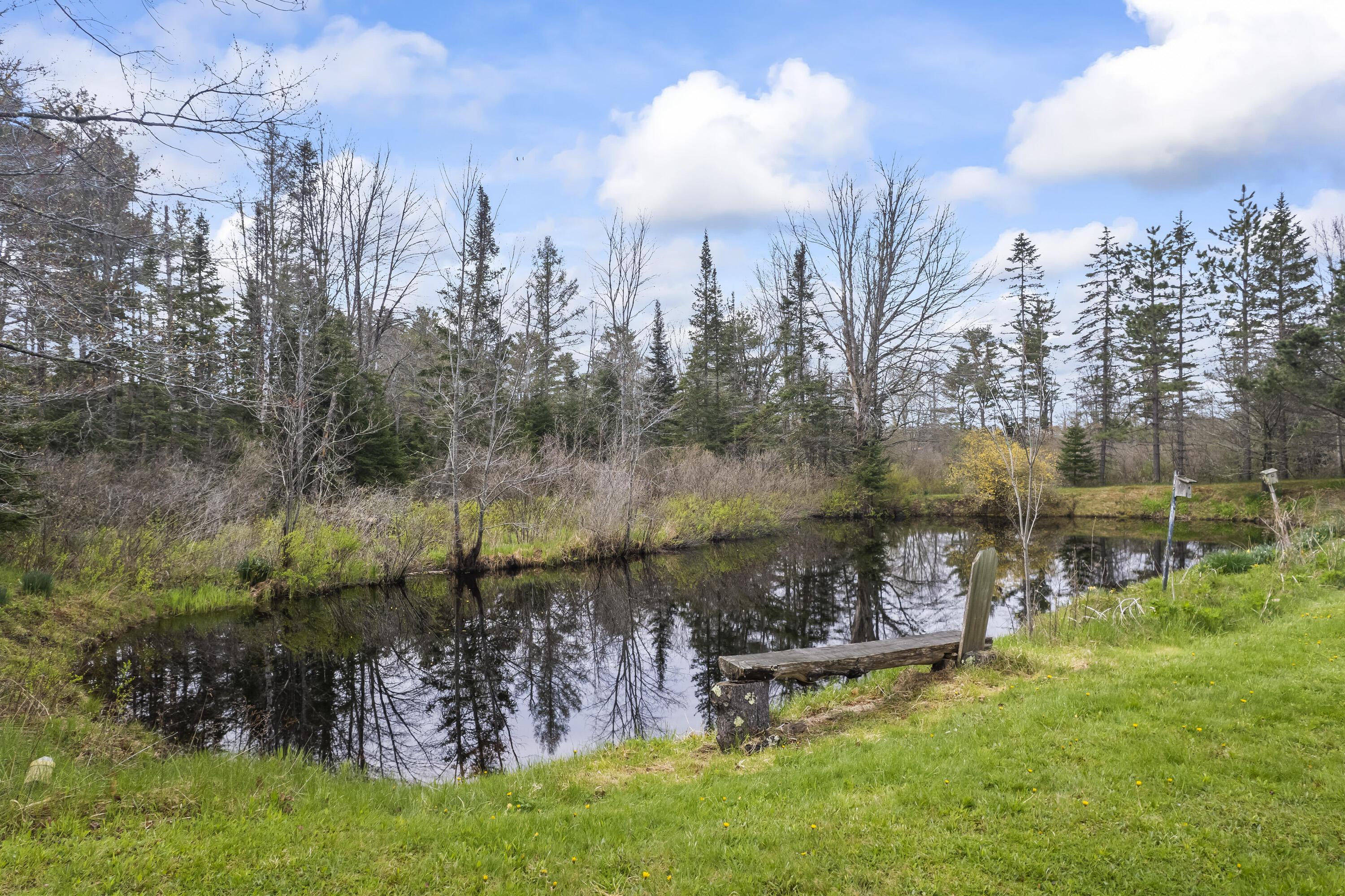 342 Foye Road Wiscasset, ME 04578 - Photo 20 of 79 342 Foye Rd_167